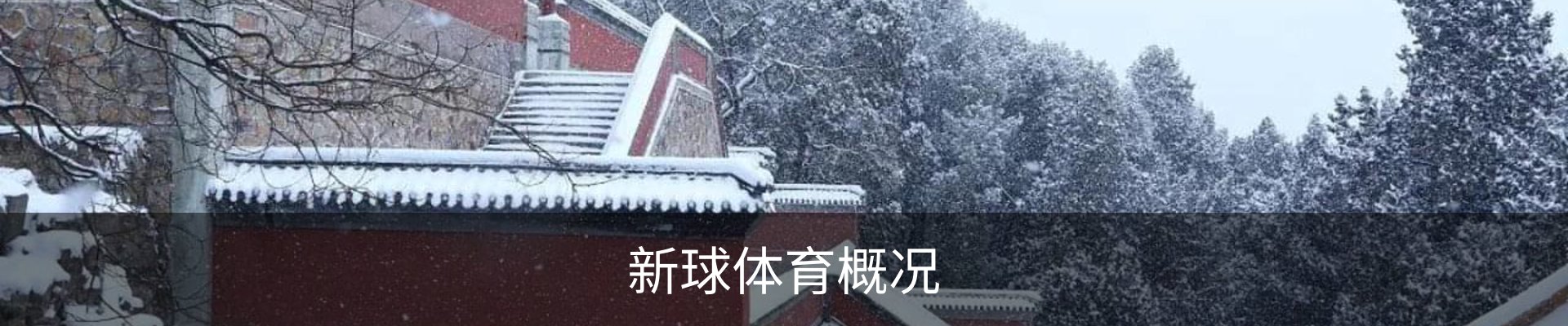 新球体育概况